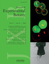 Journal Of Experimental Botany封面