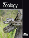 Journal Of Zoology封面