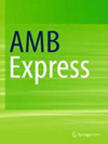 Amb Express封面