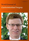 World Journal Of Gastrointestinal Surgery封面